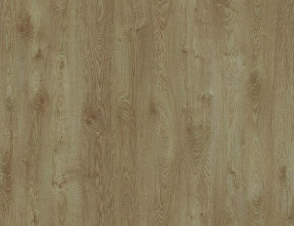 Cliparquet SUPERNATURAL SYNCRO - CS104 Roble Motola