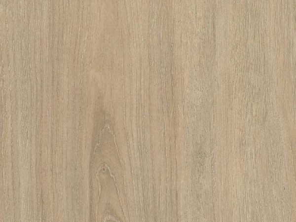 Gold Laminate - PROD02 Roble Caucaso