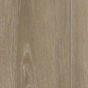 Gold Laminate - PROD06 Roble Cazorla