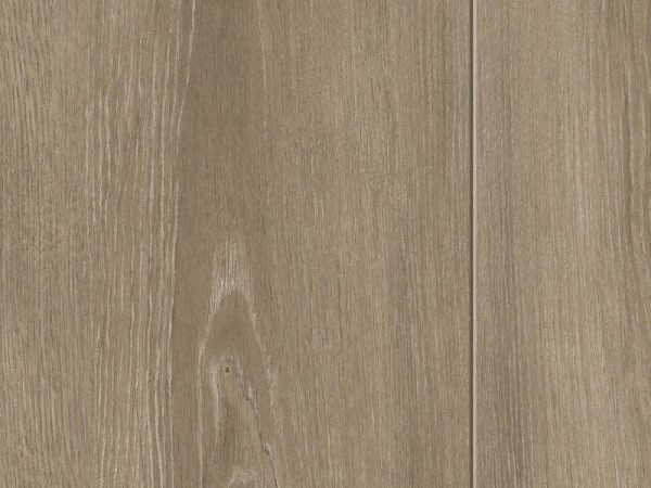 Gold Laminate - PROD06 Roble Cazorla