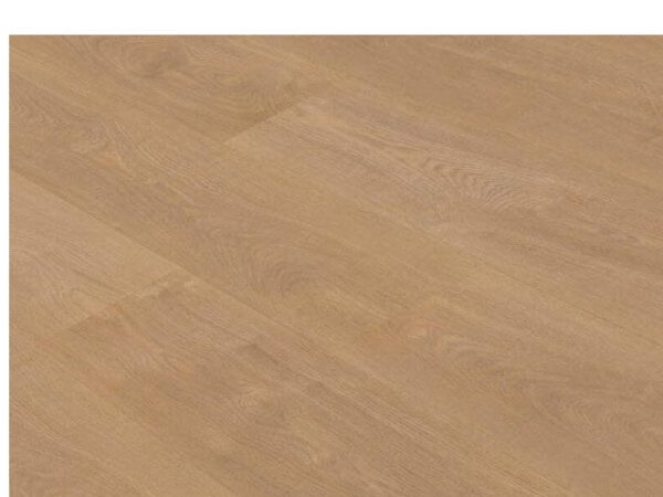 Gold Laminate - PRO891 Roble Silvestre