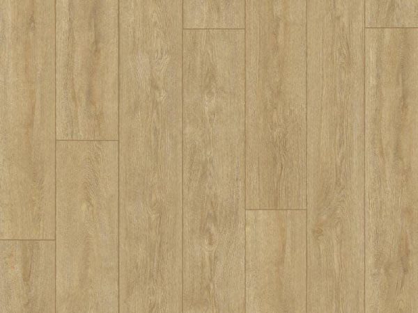 Gold Laminate - PROG03 Roble Estocolmo